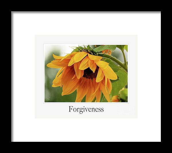 Emotions Framed Print featuring the photograph Forgiveness by D Lee