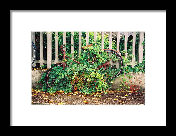 Italy Framed Print featuring the photograph Ivy - Bike by Claude Taylor