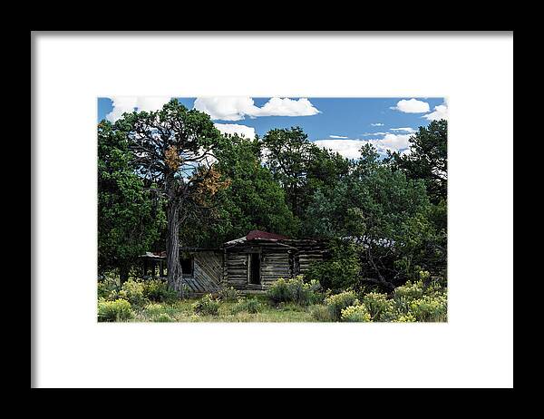 Cabin Framed Print featuring the photograph Forgotten Homestead - 8783 by Jerry Owens
