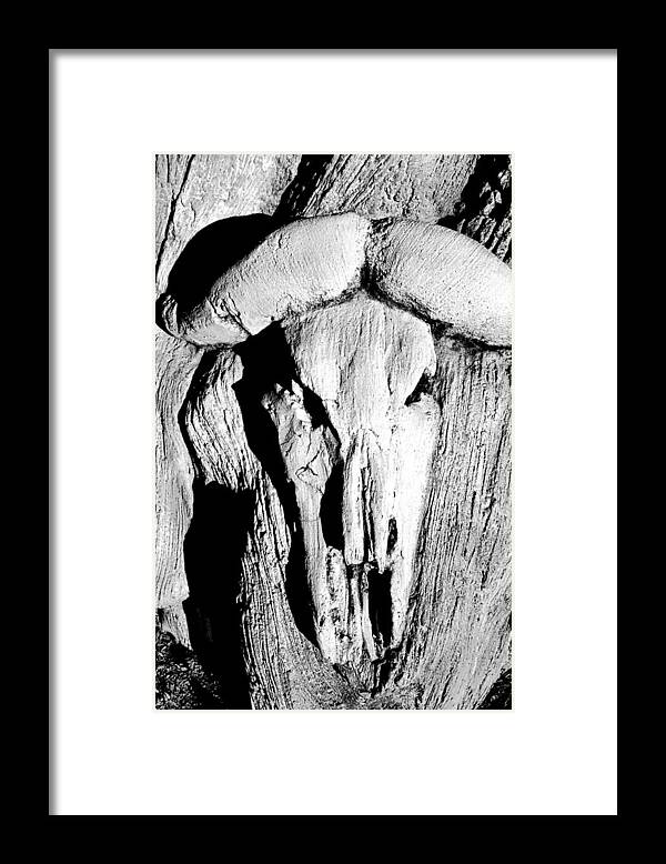 Skull Framed Print featuring the photograph Forgotten Places by Ally White