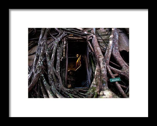 Banyan Framed Print featuring the photograph Forgotten Temple - Wat Ban Kung, Thailand by Earth And Spirit