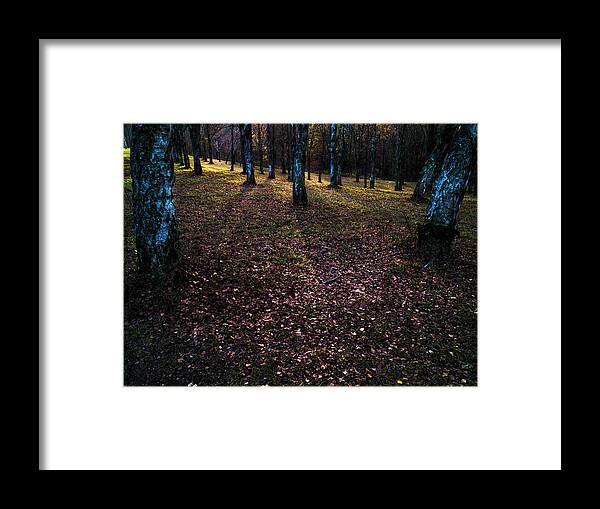  Framed Print featuring the photograph Forstliches Arboretum Liliental by Ioannis Konstas