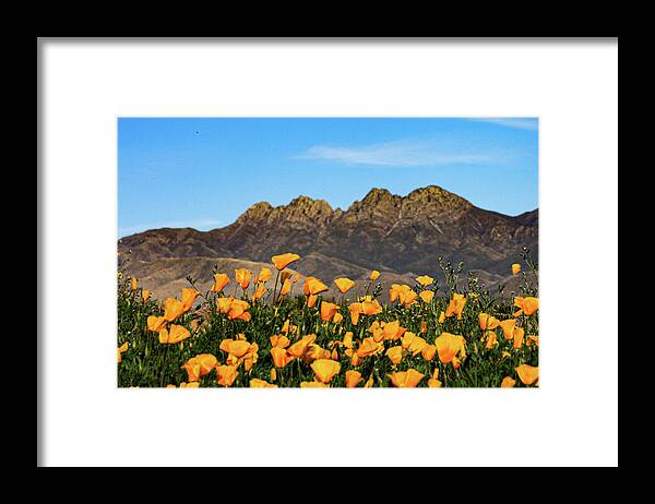 Four Peaks Framed Print featuring the photograph Four Peaks in Spring by Bonny Puckett
