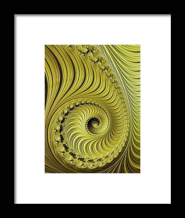 Beautiful golden fractal spiral artwork Digital Art by Matthias Hauser -  Fine Art America