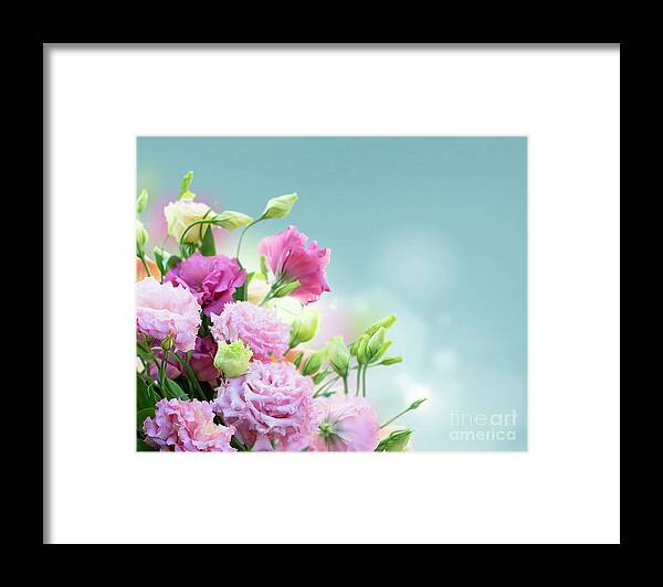 Roses Framed Print featuring the photograph Fragil Beauty by Anastasy Yarmolovich