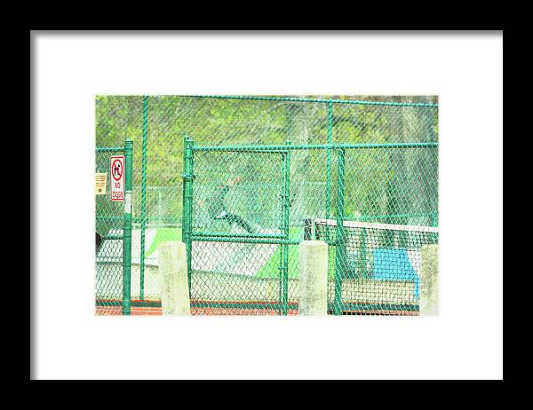 Skateboarding Framed Print featuring the photograph Free by Alys Caviness-Gober