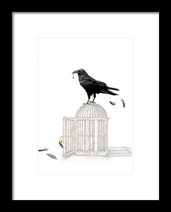 Crow Framed Print featuring the mixed media Free as a Bird by Moira Law