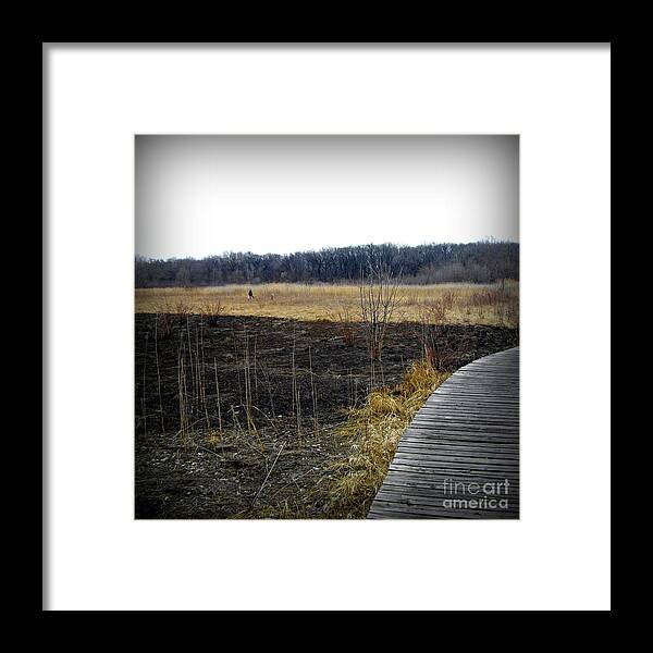 Color Framed Print featuring the photograph Freedom in the Wetlands Brush by Frank J Casella
