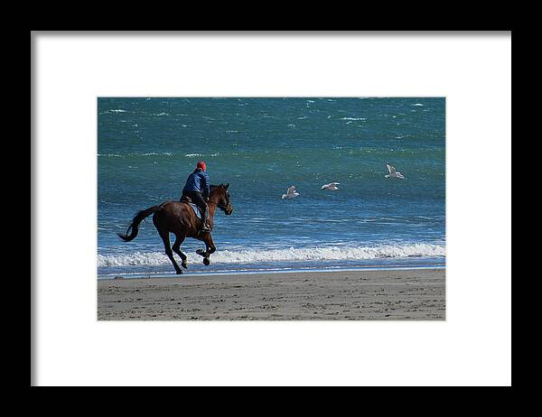 Horse Framed Print featuring the photograph Freedom Ride by Vicky Edgerly