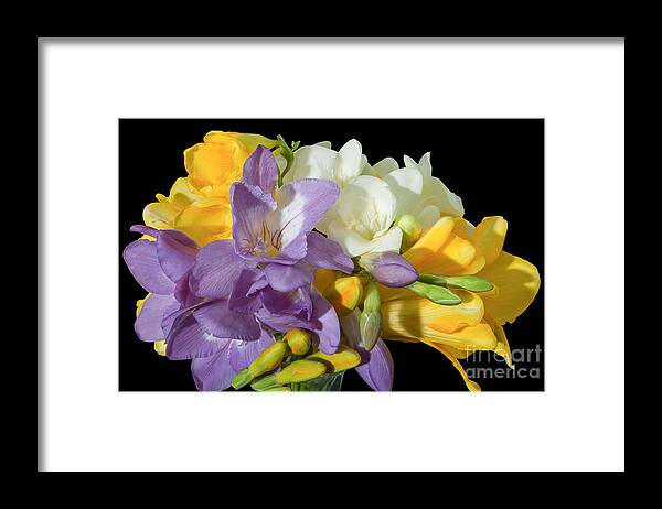 Freesia Framed Print featuring the photograph Freesia Bouquet, 2 by Glenn Franco Simmons