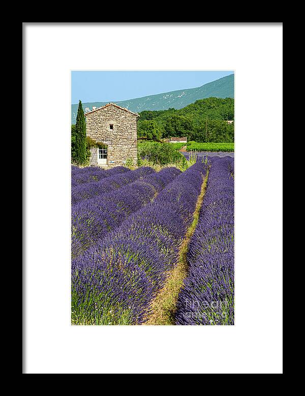 Saignon Framed Print featuring the photograph French Stone Farmhouse on a Lavender Farm One by Bob Phillips