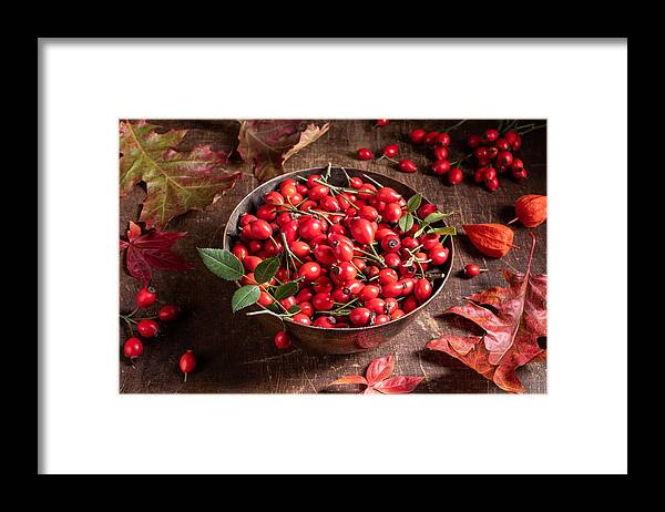 Foraging Framed Print featuring the photograph Fresh rose hips in a bowl on a table by Madeleine_Steinbach