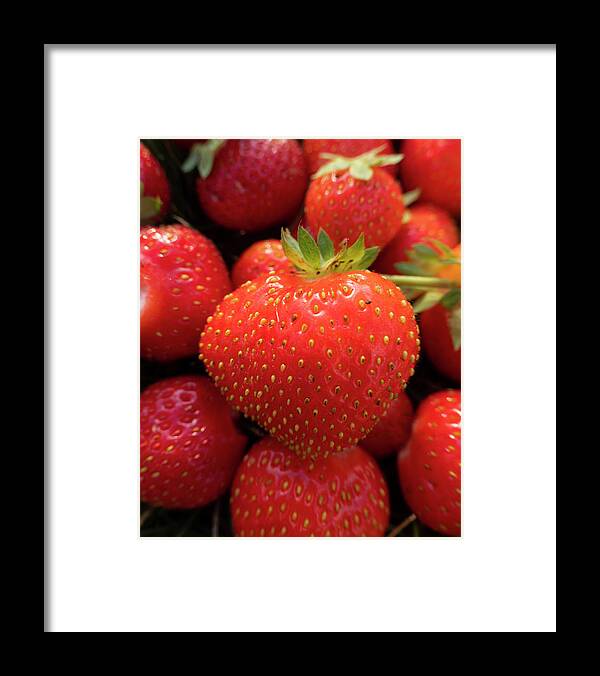 Strawberries Framed Print featuring the photograph Fresh Strawberries by Karen Rispin