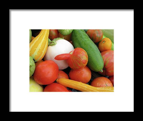 Tomatoes Framed Print featuring the photograph Freshly Picked Summer Harvest 8847 by Jack Schultz