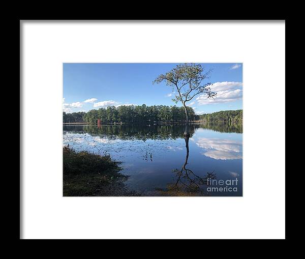 Water Framed Print featuring the photograph Freshwater Pond by Catherine Wilson
