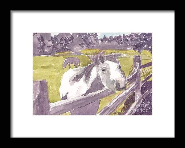 Arnold Framed Print featuring the painting Friendly Welsh Pony by Maryland Outdoor Life