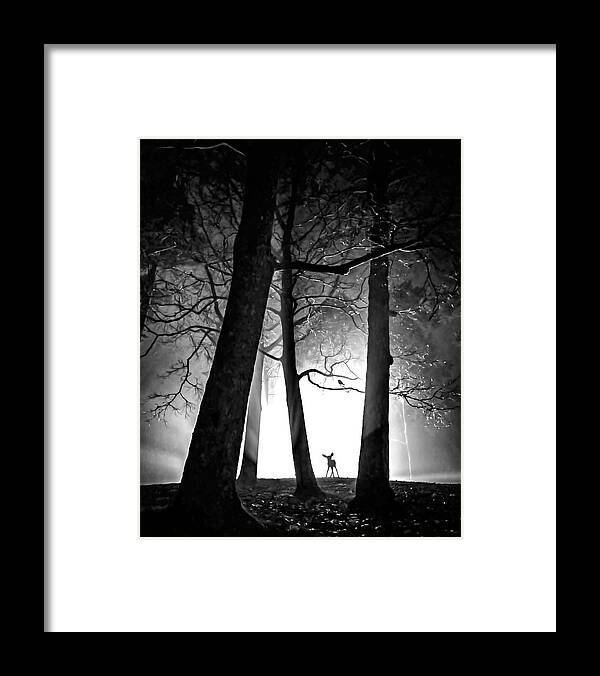 Fine Art Framed Print featuring the photograph Friendship II by Sofie Conte