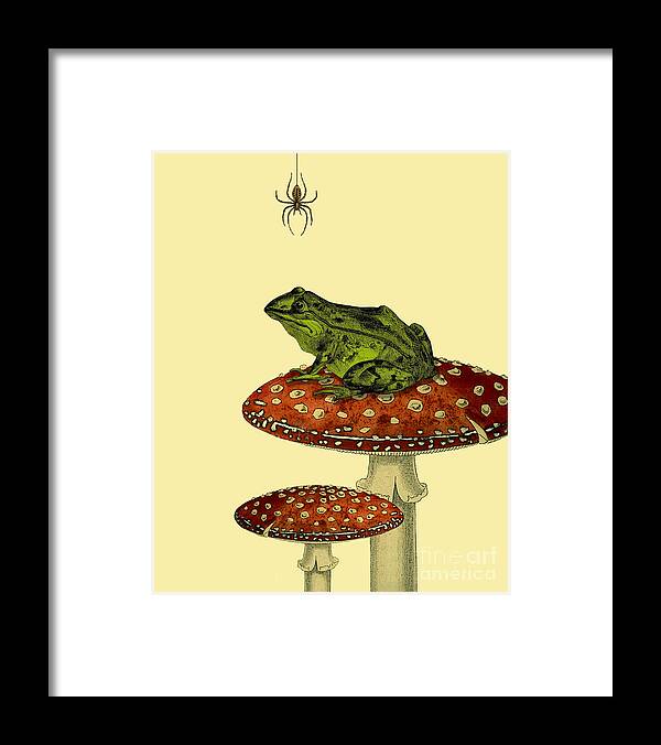 Frog Framed Print featuring the digital art Frog and Spider by Madame Memento