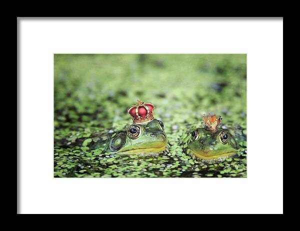 Frog Framed Print featuring the photograph Frog Prince and Frog Princess by Carrie Ann Grippo-Pike