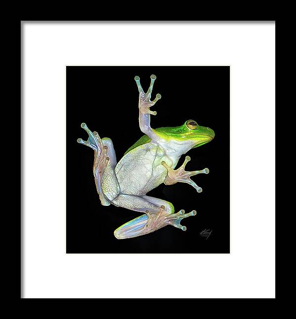 Frogs Framed Print featuring the photograph Froggy Went a' Cortin' by Michael Frank