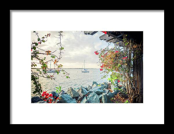 San Diego Framed Print featuring the photograph From Between The Bougainvilleas by Joseph S Giacalone