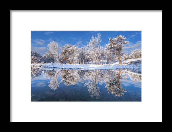Winter Framed Print featuring the photograph Frosted Trees by Darren White