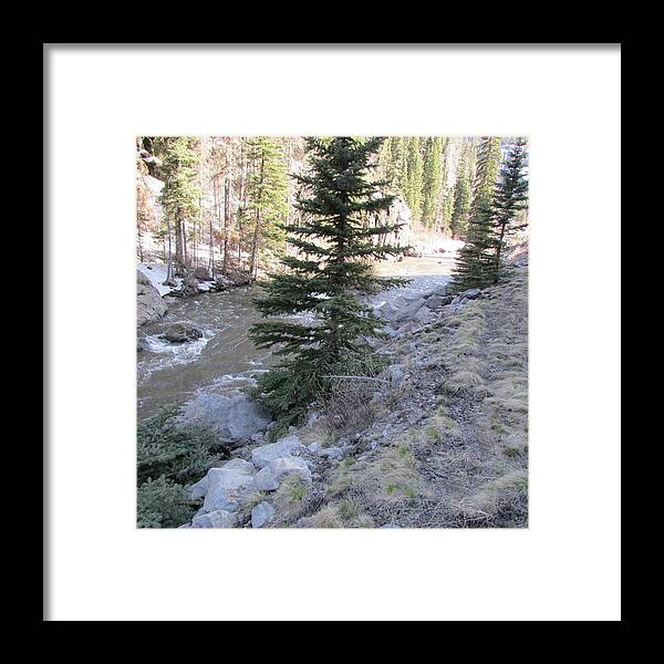 Colorado Framed Print featuring the photograph Frosty Colorado Mountaun Stream by Tambra Nicole Kendall