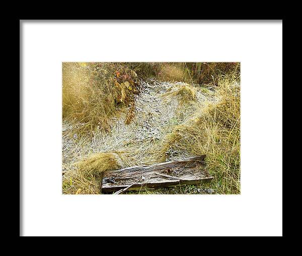 Dungeness River Framed Print featuring the digital art Frosty Grass by David Desautel