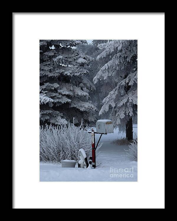 Mailbox Framed Print featuring the photograph Frosty mailbox by Lisa Mutch