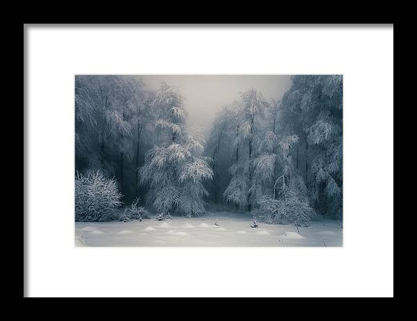 Mountain Framed Print featuring the photograph Frozen Forest by Evgeni Dinev