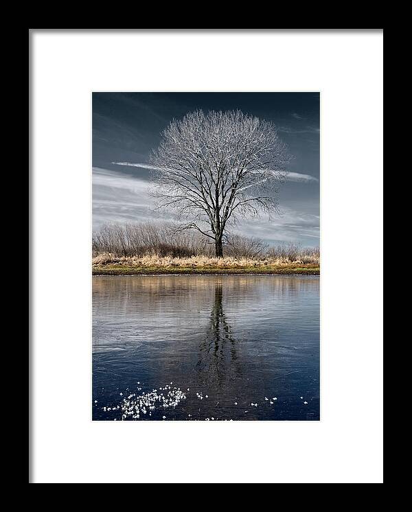 Frost Framed Print featuring the photograph Frozen pond and frosted tree with reflection at Harveys Marsh in Wisconsin by Peter Herman