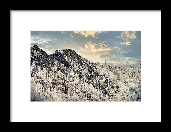 Great Smoky Mountains National Park Framed Print featuring the photograph Frozen by Stacy Abbott