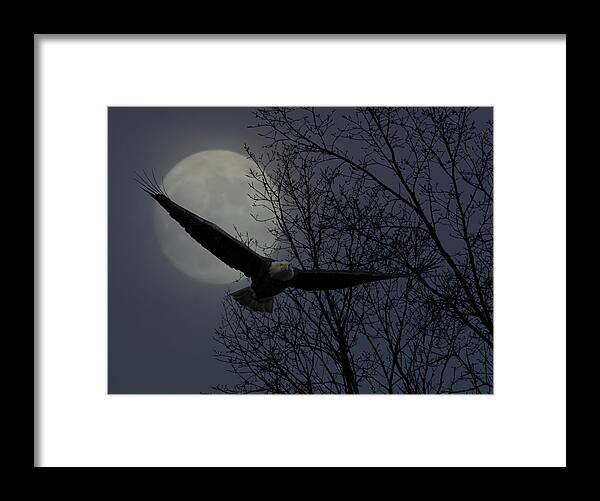Full Framed Print featuring the photograph Full Moon Eagle by Wade Aiken