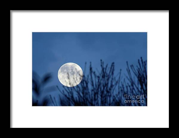Moon Framed Print featuring the photograph Full moon rising by Delphimages Photo Creations