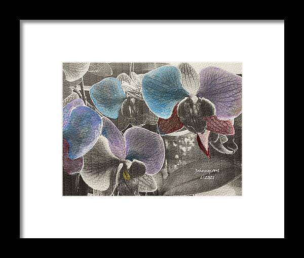 Color Enhanced Orchids St Augustine Florida Usa Framed Print featuring the mixed media Fun Stuff 2 by John Anderson