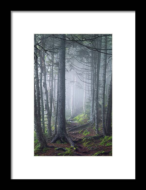 Bay Of Fundy Framed Print featuring the photograph Fundy Fog by Tracy Munson