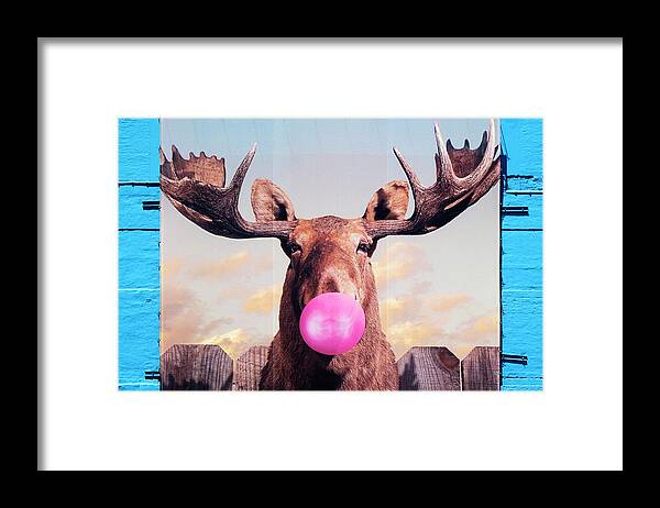 Funky Moose Framed Print featuring the photograph Funky Moose by Patty Colabuono