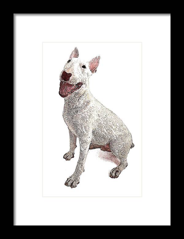 Funny Framed Print featuring the painting Funny and Cute, English Bull Terrier Dog by Custom Pet Portrait Art Studio