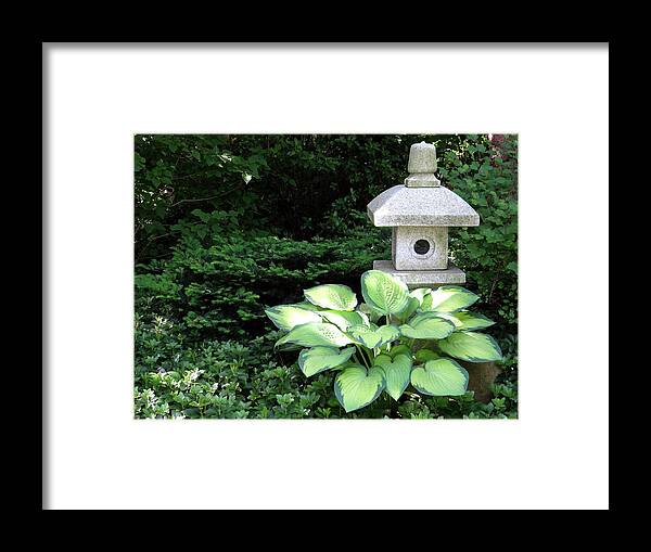 Japanese Garden Framed Print featuring the photograph Garden Hosta by Julia Wilcox