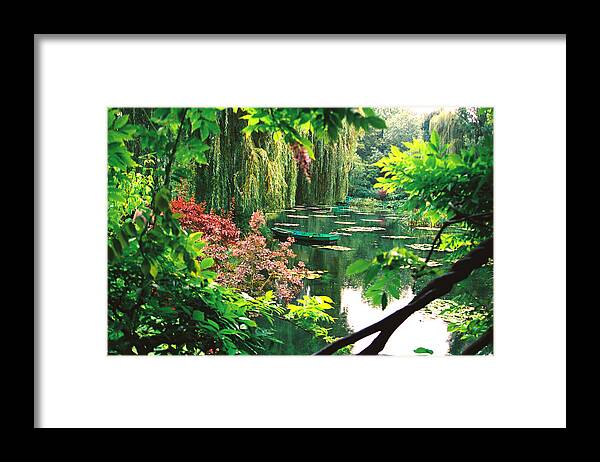 Paris Framed Print featuring the photograph Monet's Garden by Claude Taylor