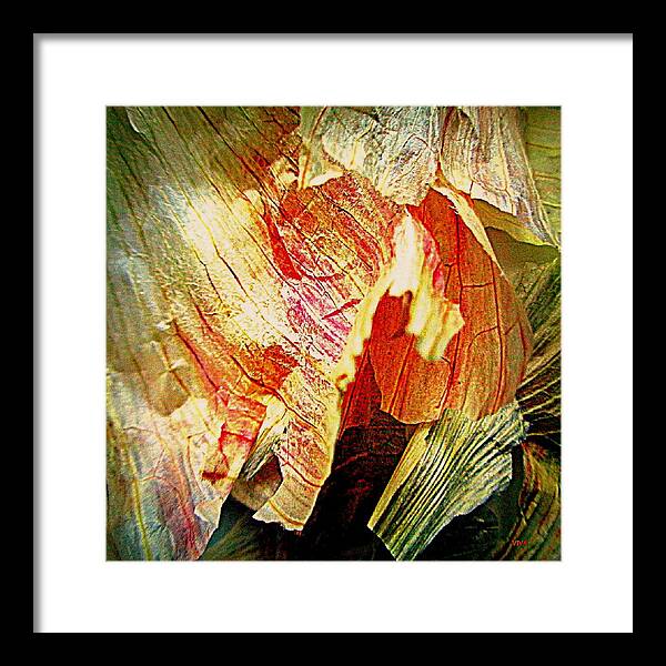 Garlic Peel Framed Print featuring the photograph Garlic Peel Celebrated by VIVA Anderson
