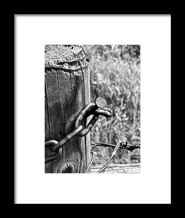 Black & White Framed Print featuring the photograph Gate Hook by Ann E Robson