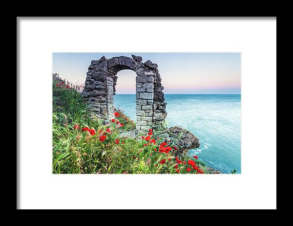 Fortress Framed Print featuring the photograph Gate In the Poppies by Evgeni Dinev