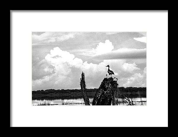 Clouds Framed Print featuring the photograph Gathering Storm by Rick Redman