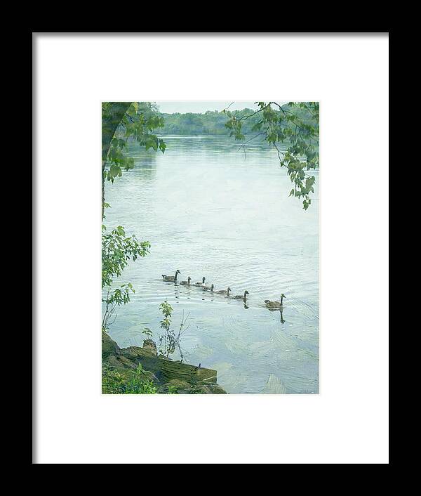 Geese Framed Print featuring the photograph Geese on the Cedar River Iowa by Mary Lee Dereske
