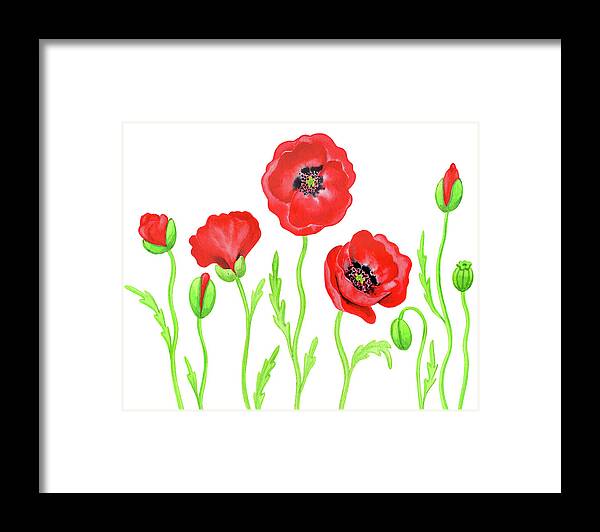 Poppies Framed Print featuring the painting Gentle Red Poppies Flowers Botanical Watercolor by Irina Sztukowski
