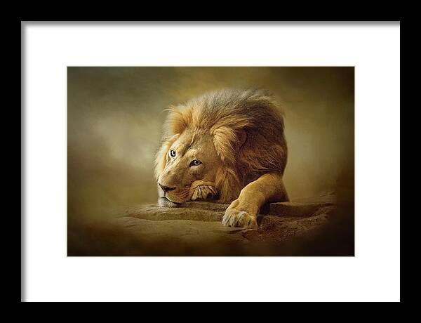 Lion Framed Print featuring the digital art Gentle Soul by Nicole Wilde