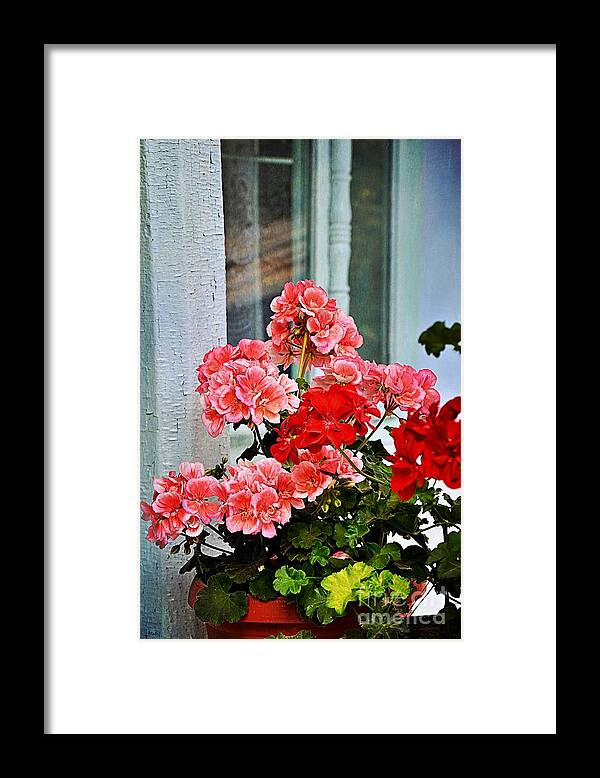 Geraniums Framed Print featuring the photograph Geraniums in a Blue Window by Ramona Matei