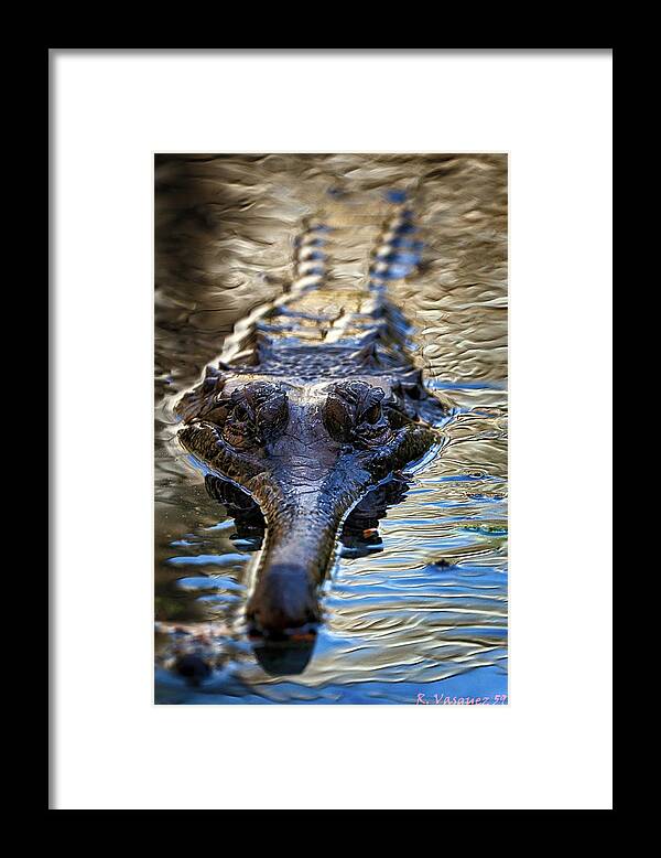 Gharial Framed Print featuring the photograph Gharial Lurking by Rene Vasquez