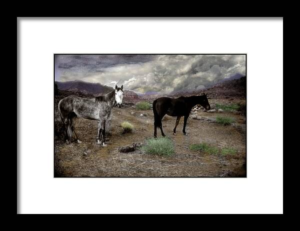 Ghost Horse Framed Print featuring the photograph Ghost Horses on a High Plain by Wayne King